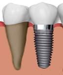 Xavier Vazquez Bracho