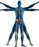 Oscar Gatica Morales