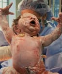 Heriberto Loza Barajas