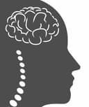 Fernando Lara Torres