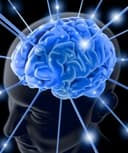 Virginia Morales Sánchez