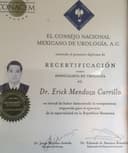 Erick Mendoza Carrillo
