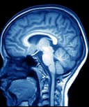 Néstor Alberto Estrada Venegas