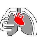 Ernesto Velasco Femat