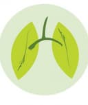 Viridiana De la Herrán Rivas