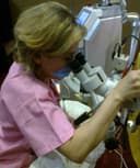 Alma Delia Arce Romero