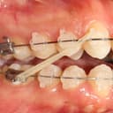 Steffany C. Santander