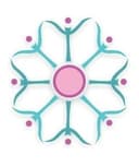 Liliana Tapia Martínez