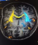 Rubén Conde Espinosa