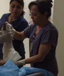 María de la Luz Ortiz