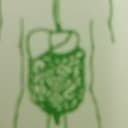 Javier Cervantes Bolaños