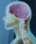 Julio César Soto Barraza